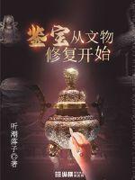 鉴宝从文物修复开始章节列表