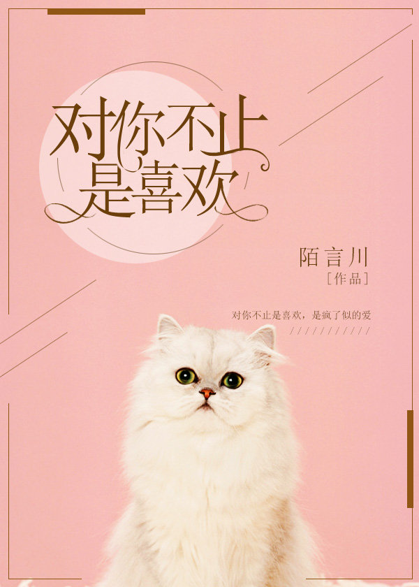 对你不止是喜欢章节列表