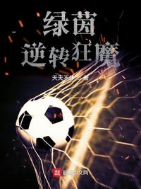 绿茵逆转狂魔叶一锋章节列表