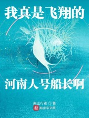 我真是飞翔的河南人号船长啊章节列表
