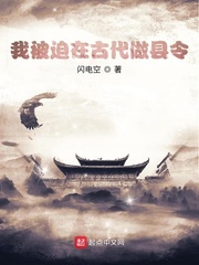 我被迫在古代做县令章节列表
