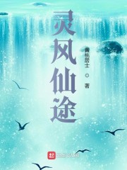 灵风仙途章节列表