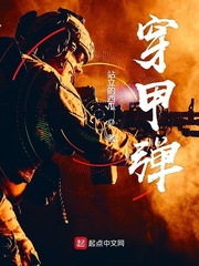 穿甲弹章节列表