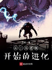 从一只老鼠开始的进化章节列表