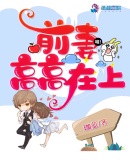 前妻高高在上章节列表