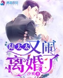 陆太太又闹离婚了章节列表