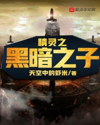 神奇宝贝之黑暗之子章节列表