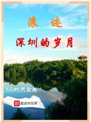 浪迹深圳的岁月章节列表