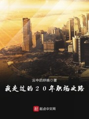 我走过的20年职场之路章节列表