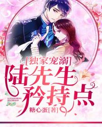 独家宠溺：陆先生矜持点章节列表