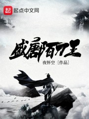 盛唐陌刀王章节列表