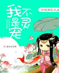 我不是灵宠章节列表