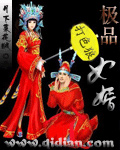 极品女婿章节列表