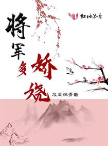 将军多娇娆章节列表