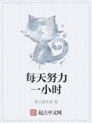 每天努力一小时章节列表