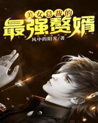美女总裁的最强赘婿章节列表