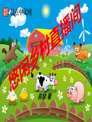 悠闲乡村直播间章节列表
