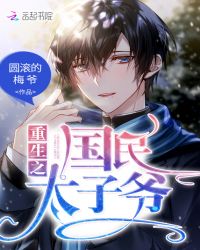重生之国民太子爷章节列表