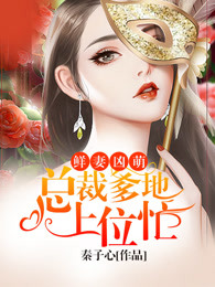 总裁，夫人又征婚了章节列表