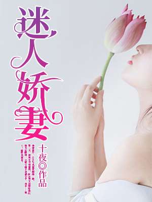 迷人娇妻章节列表