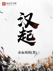 汉起章节列表