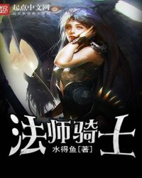 法师骑士章节列表