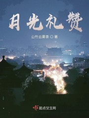 月光礼赞章节列表