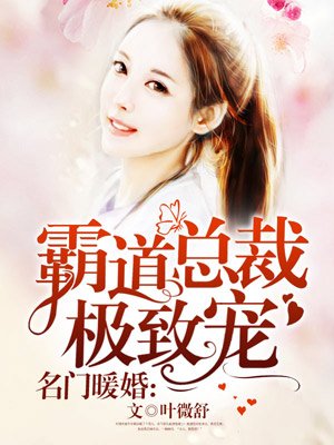 名门暖婚：霸道总裁极致宠章节列表