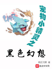 精灵之黑色幻想章节列表