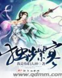 独步紫寒章节列表