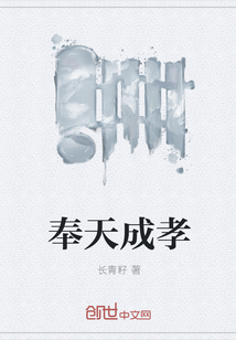 奉天成孝章节列表