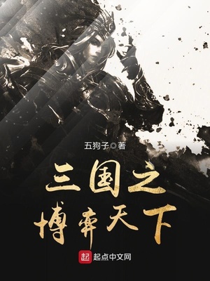 三国之博弈天下章节列表