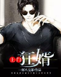 上门狂婿章节列表