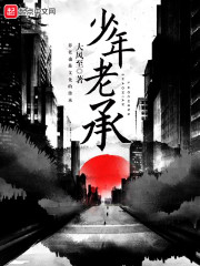 少年老承章节列表