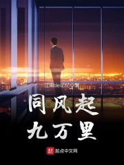 同风起，九万里章节列表