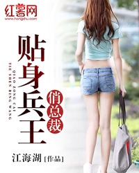 贴身兵王俏总裁章节列表