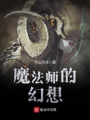 魔法师的幻想章节列表