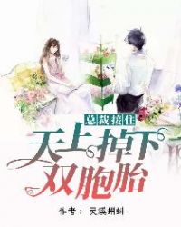 总裁接住，天上掉下双胞胎章节列表