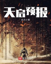 天启预报章节列表