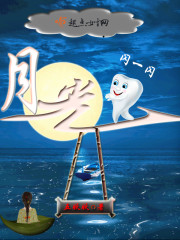 月光闪一闪章节列表