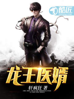 龙王医婿章节列表