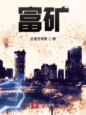 富矿章节列表