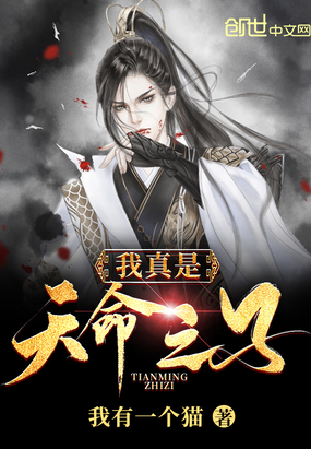 我真是天命之子章节列表