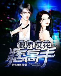 痞子高手之傲娇校花王笑童婉儿章节列表