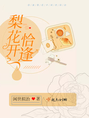 恰逢梨花开章节列表
