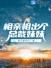 相亲相出个总裁妹妹章节列表