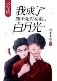 反穿后我成了四个死对头的白月光章节列表