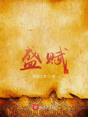 盛赋章节列表