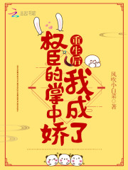 重生后我成了权臣的掌中娇南宝衣萧弈章节列表