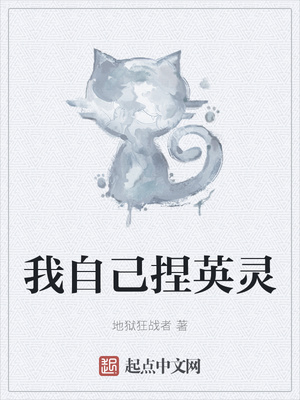 我自己捏英灵章节列表